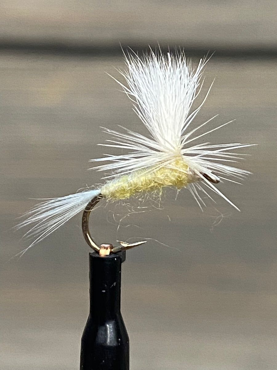 Parachute PMD Wild Bearings