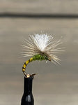 Quill Adult BWO